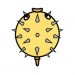 Spike-Fish-Single